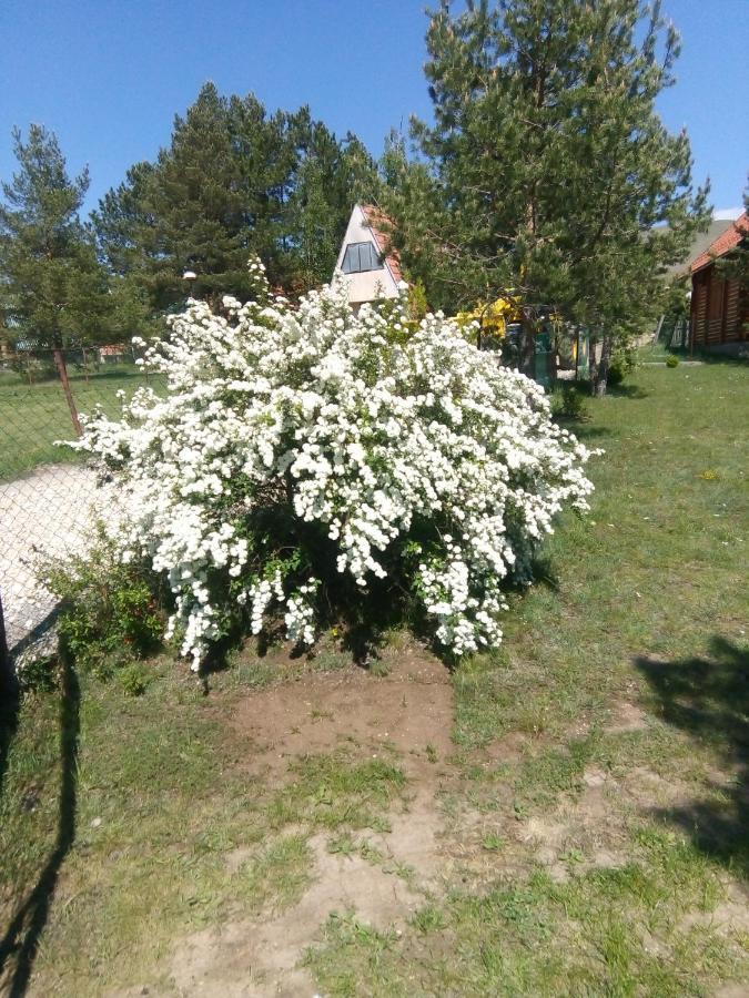 Apartman Marija Zlatibor Kültér fotó