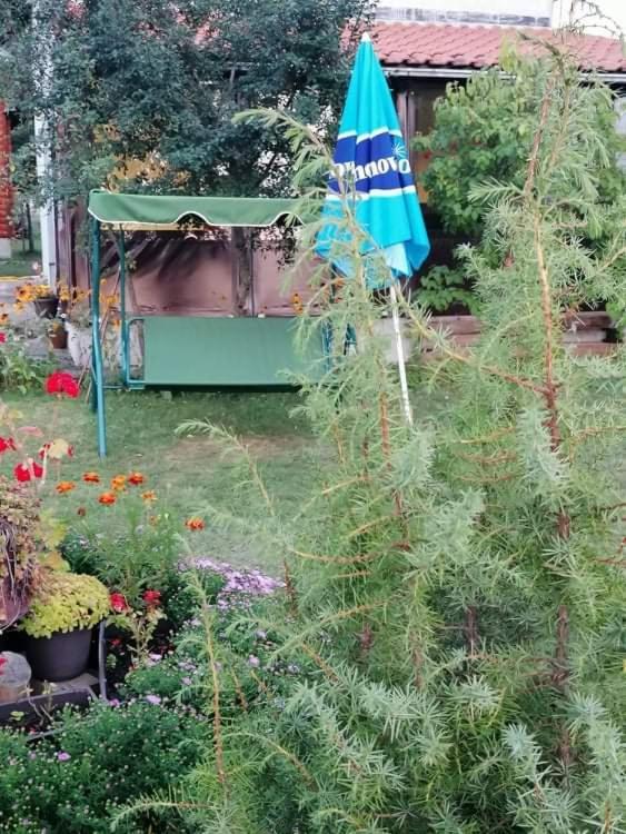 Apartman Marija Zlatibor Kültér fotó