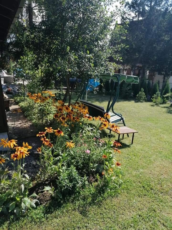 Apartman Marija Zlatibor Kültér fotó