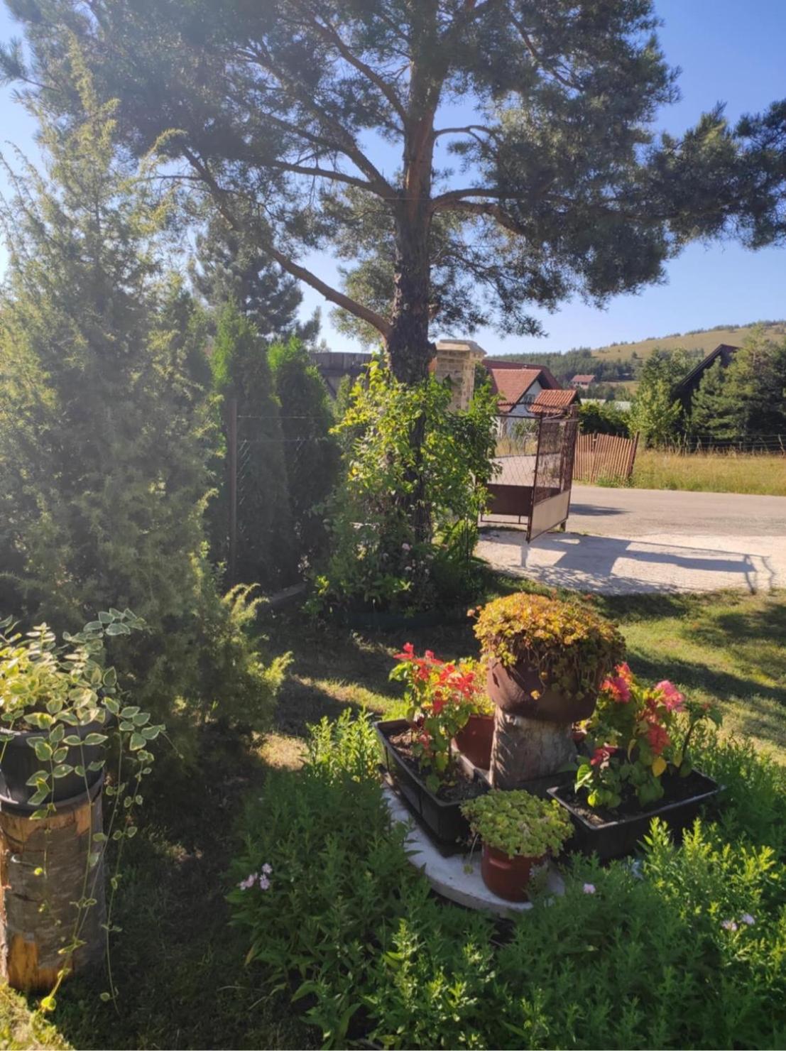 Apartman Marija Zlatibor Kültér fotó